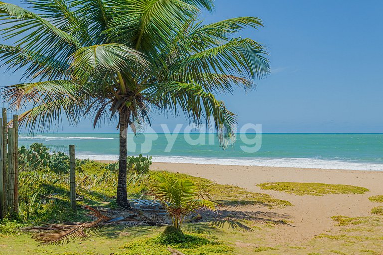 Wonderful 4-Suite Apartment, Right on the Beach, Itacimirim