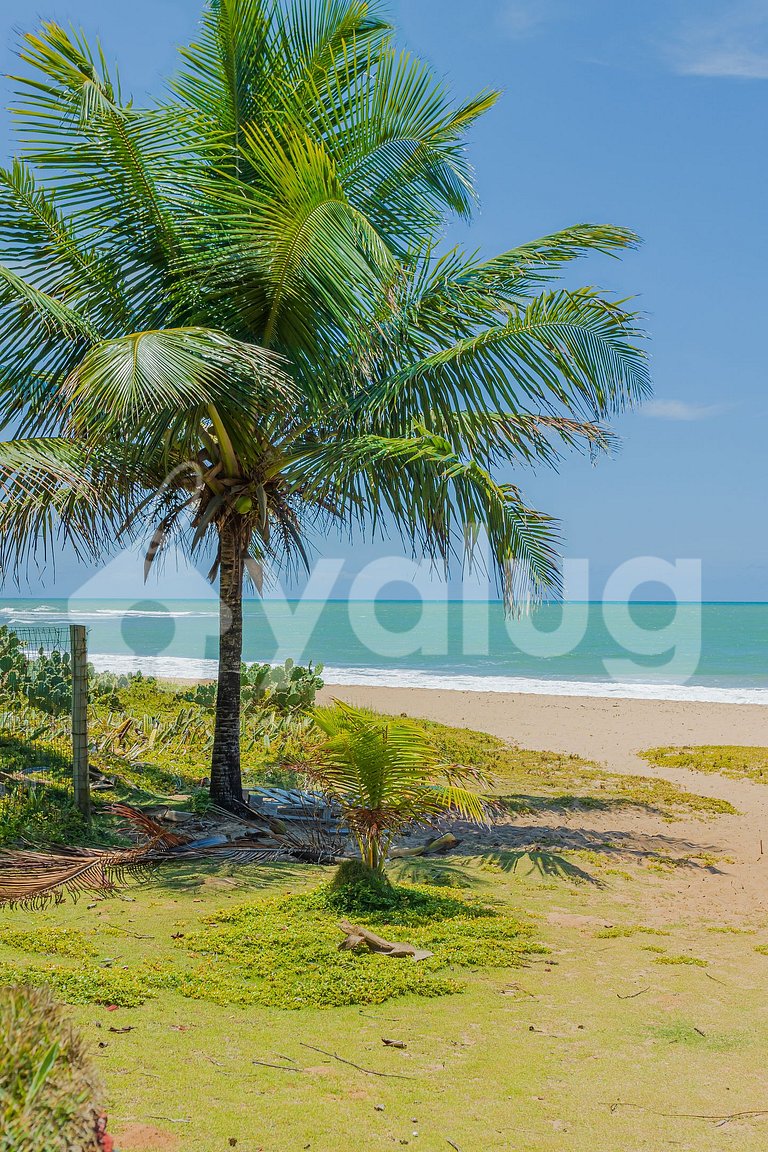 Wonderful 4-Suite Apartment, Right on the Beach, Itacimirim