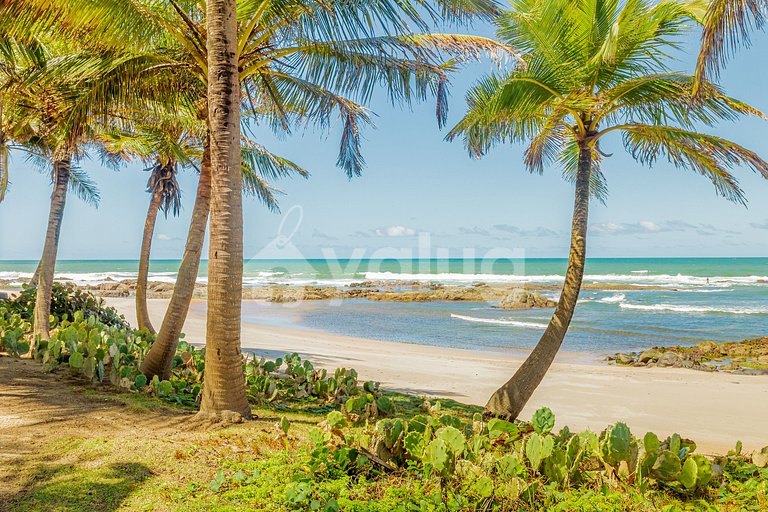 Excelente Mansão 7 Suítes, Pé Na Areia - Busca Vida