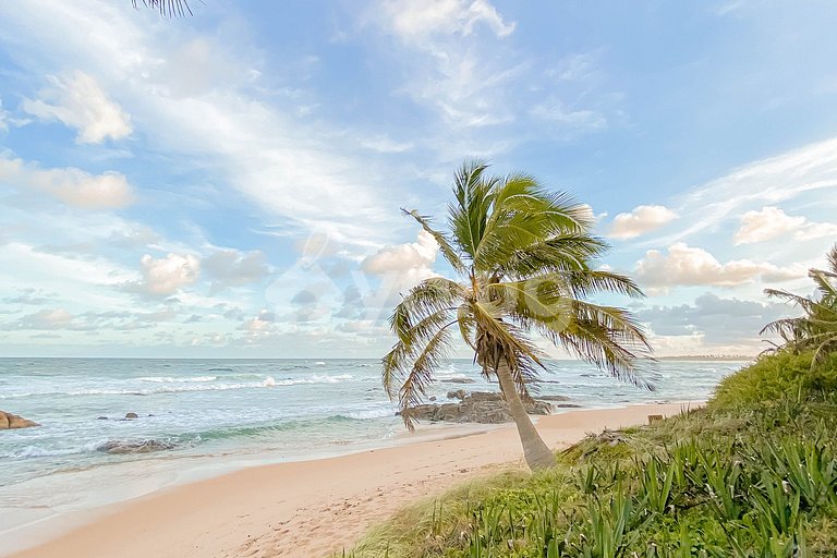 Excelente Mansão 4 Suítes, Pé Na Areia - Busca Vida