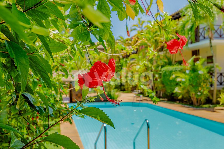 PF124 Excelente Village a 600m da Praia