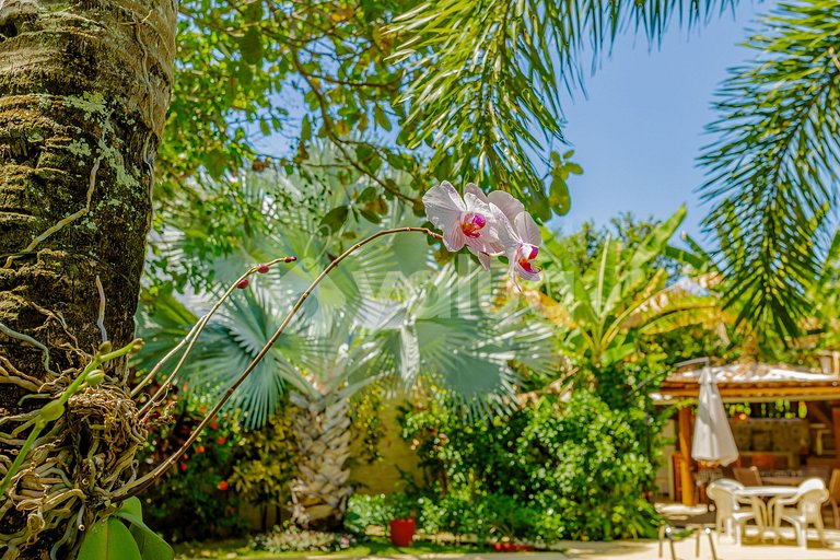 Excellent House 6 Suites 350m from the Beach